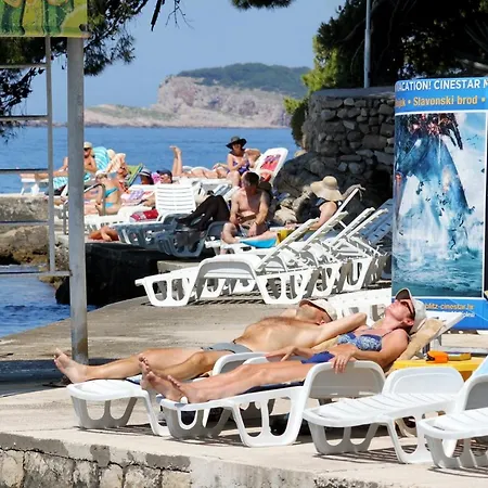 別荘 Seaside House Cavtat, Dubrovnik - 8557 ツァヴタット