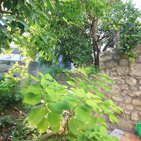 Seaside House Cavtat, Dubrovnik - 8557 別荘 ツァヴタット