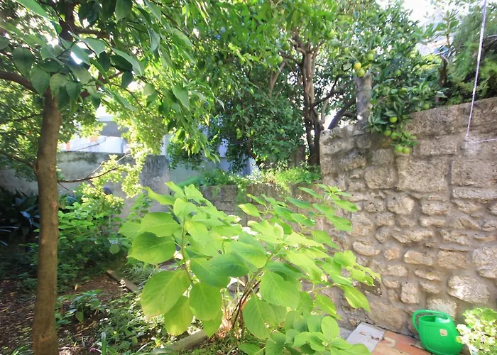 Seaside House Cavtat, Dubrovnik - 8557 Dom wakacyjny Cavtat